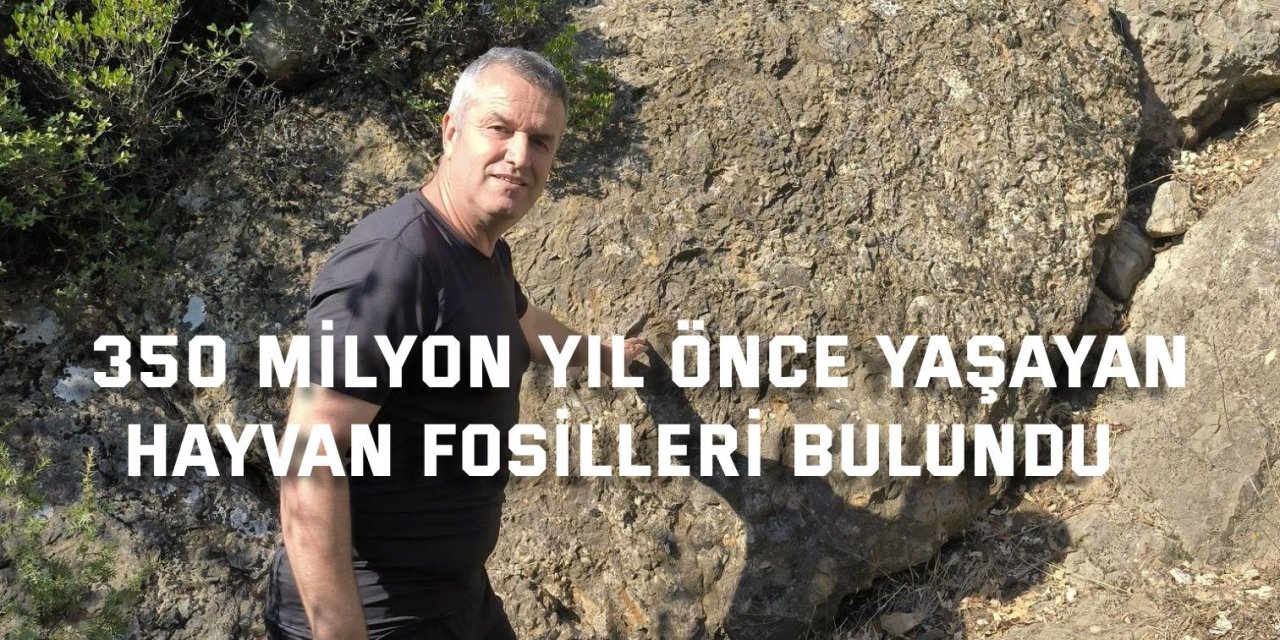 350 milyon yıl önce yaşayan hayvan fosilleri bulundu