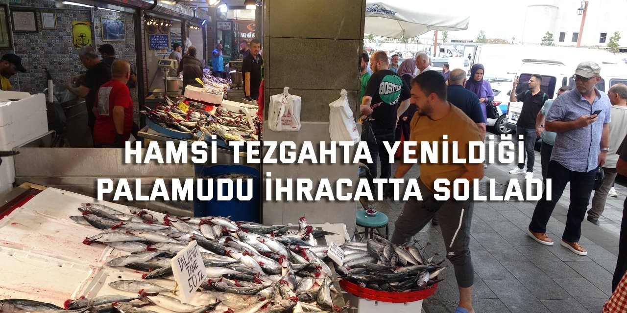 Hamsi tezgahta yenildiği  palamudu ihracatta solladı