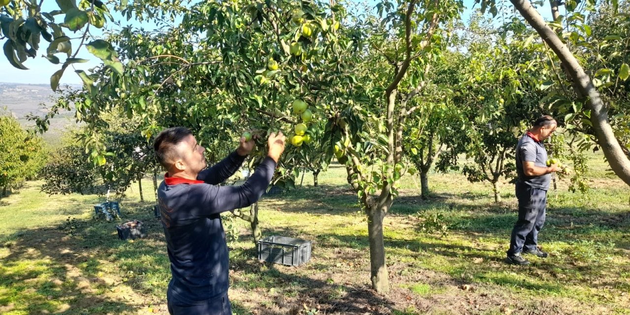 Üretiyoruz ve halkımızla paylaşıyoruz