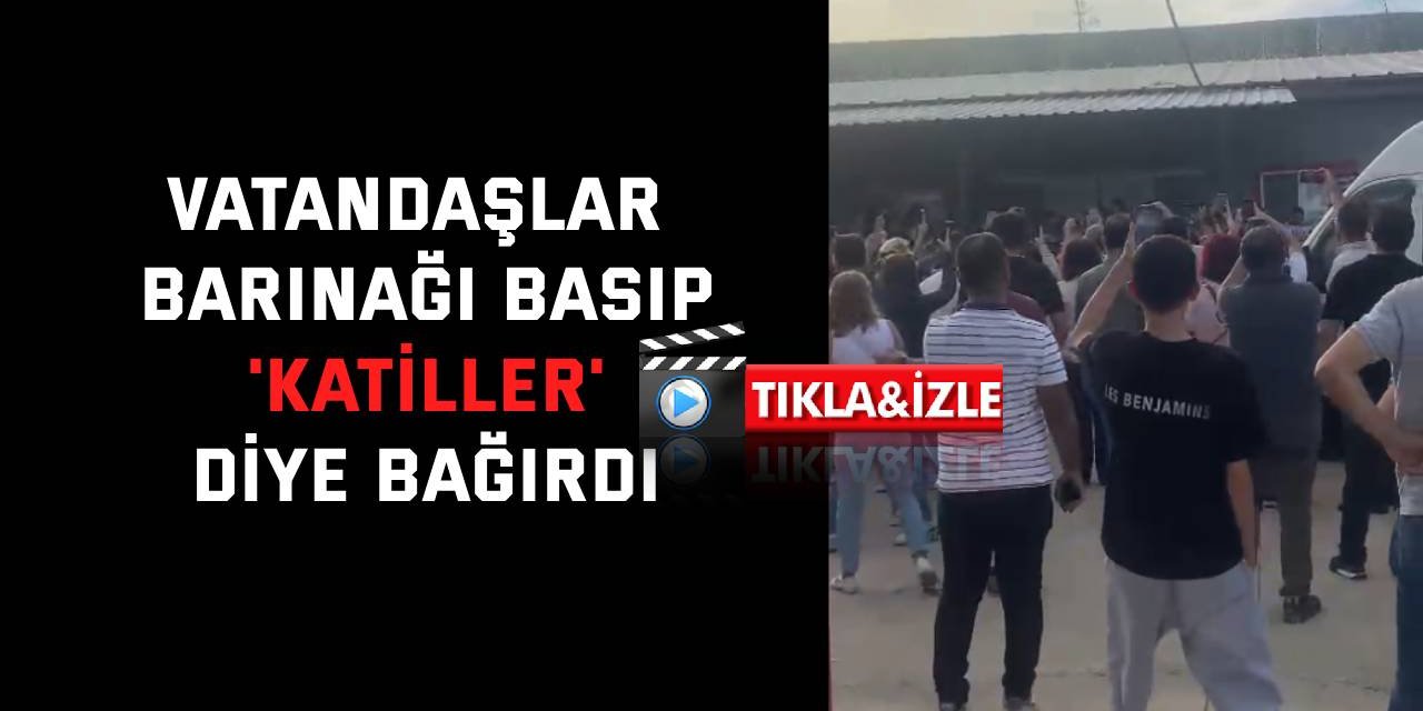 Vatandaşlar barınağı basıp, 'Katiller' diye bağırdı