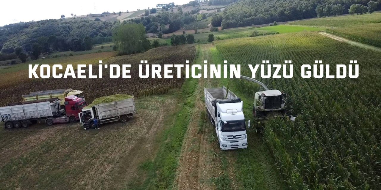 Kocaeli'de üreticinin yüzü güldü