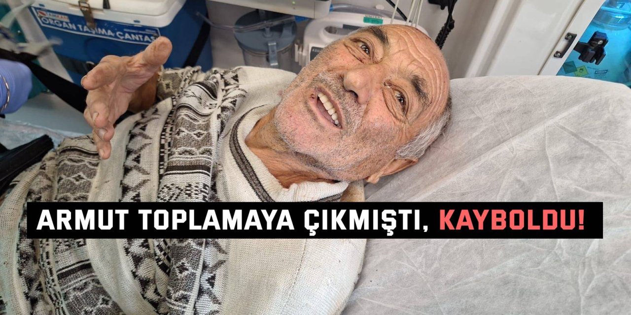 Armut toplamaya  çıkmıştı, kayboldu!