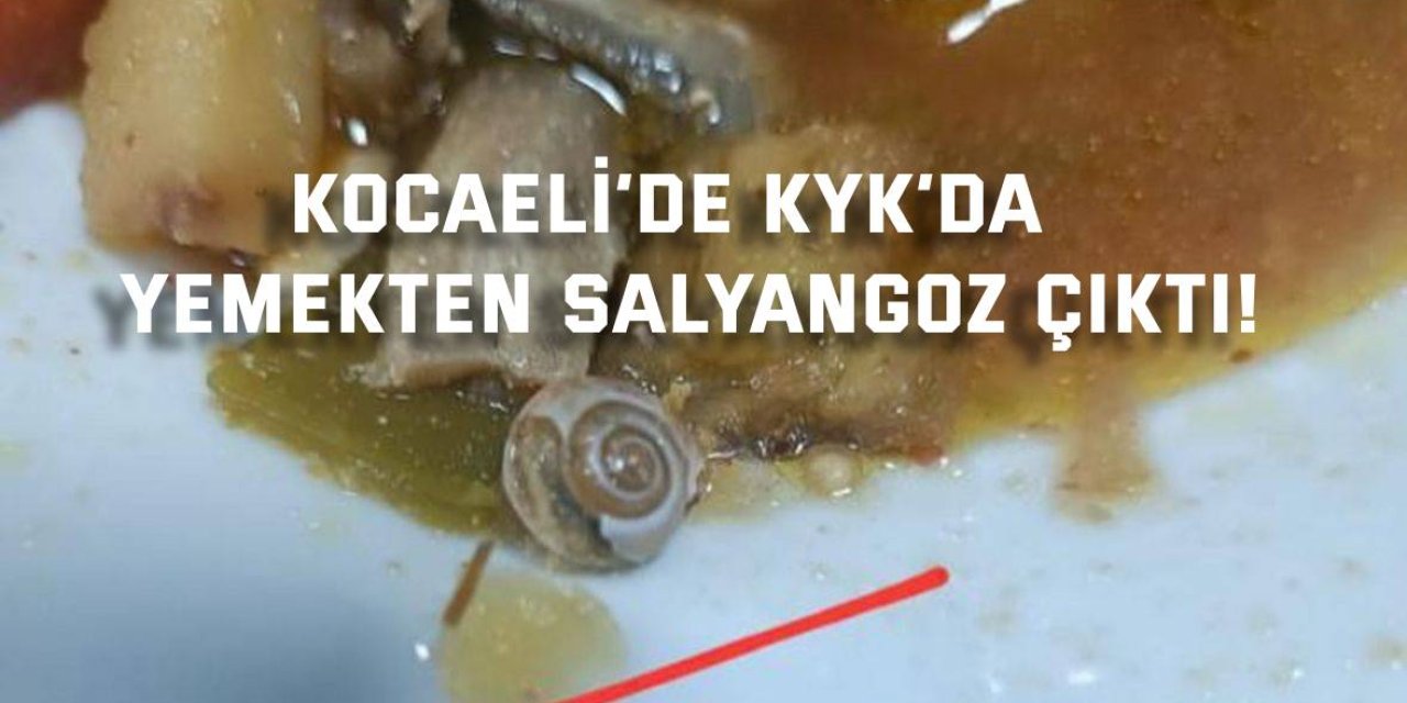 KOCAELİ’DE KYK’DA  Yemekten salyangoz çıktı!