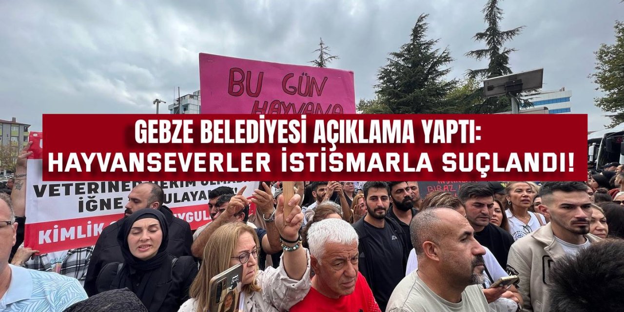 GEBZE BELEDİYESİ AÇIKLAMA YAPTI: Hayvanseverler istismarla suçlandı!