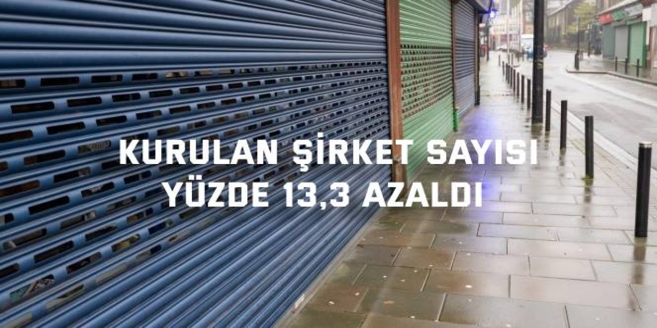 Kurulan şirket sayısı  yüzde 13,3 azaldı