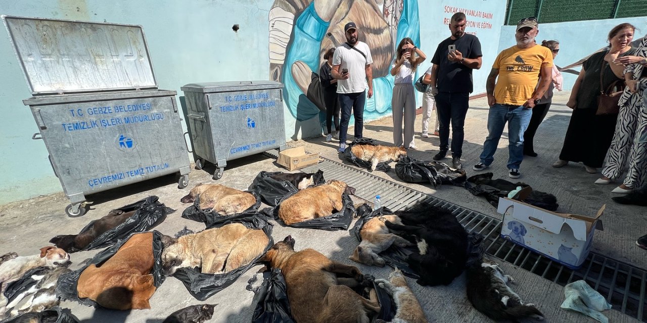 ‘’Soruşturma ile ilgili  kamuoyu bilgilendirilmeli!’’