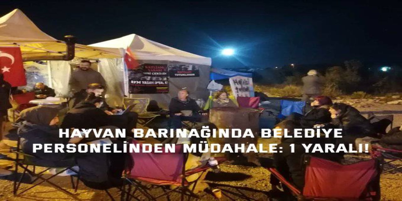 Hayvan barınağında belediye  personelinden  müdahale: 1 yaralı!