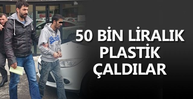 Plastik hırsızı yakalandı