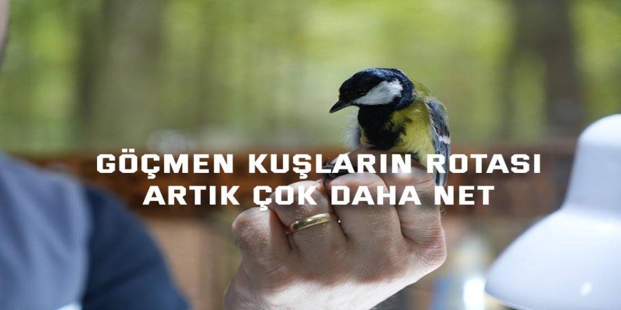 Göçmen kuşların rotası artık çok daha net