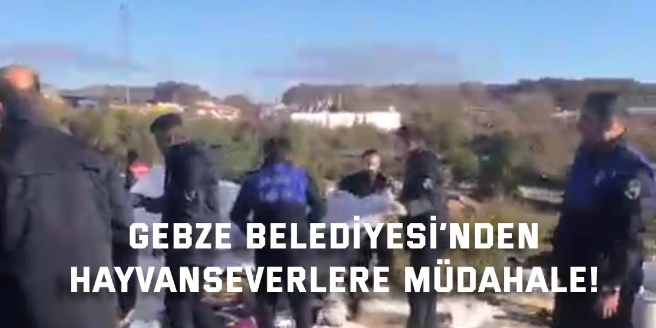 Gebze Belediyesi’nden hayvanseverlere müdahale!