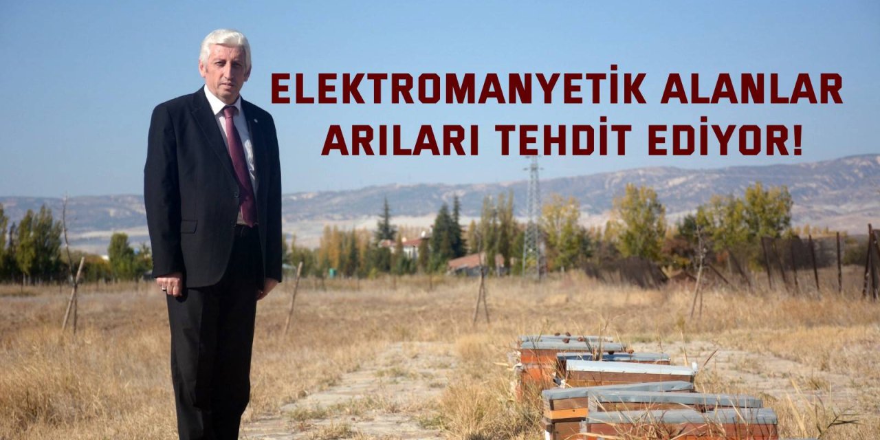 Elektromanyetik alanlar  arıları tehdit ediyor!