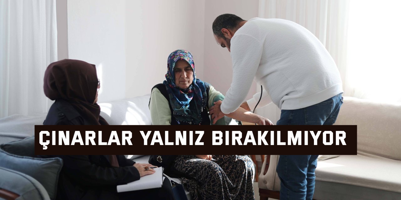 Çınarlar yalnız bırakılmıyor