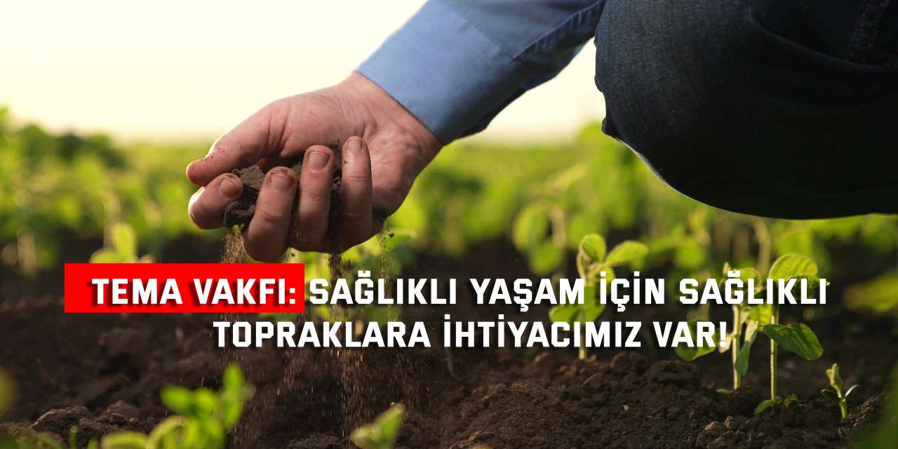 TEMA VAKFI:    Sağlıklı yaşam için sağlıklı  topraklara ihtiyacımız var!