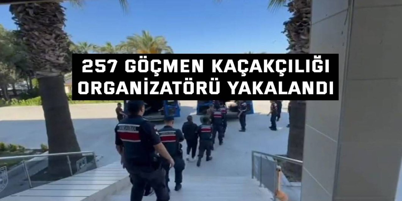 257 göçmen kaçakçılığı  Organizatörü yakalandı