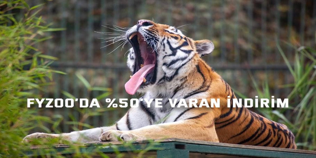 FYZoo’da %50’ye varan indirim