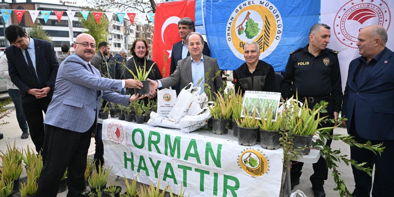 2300 fidan dağıtıldı