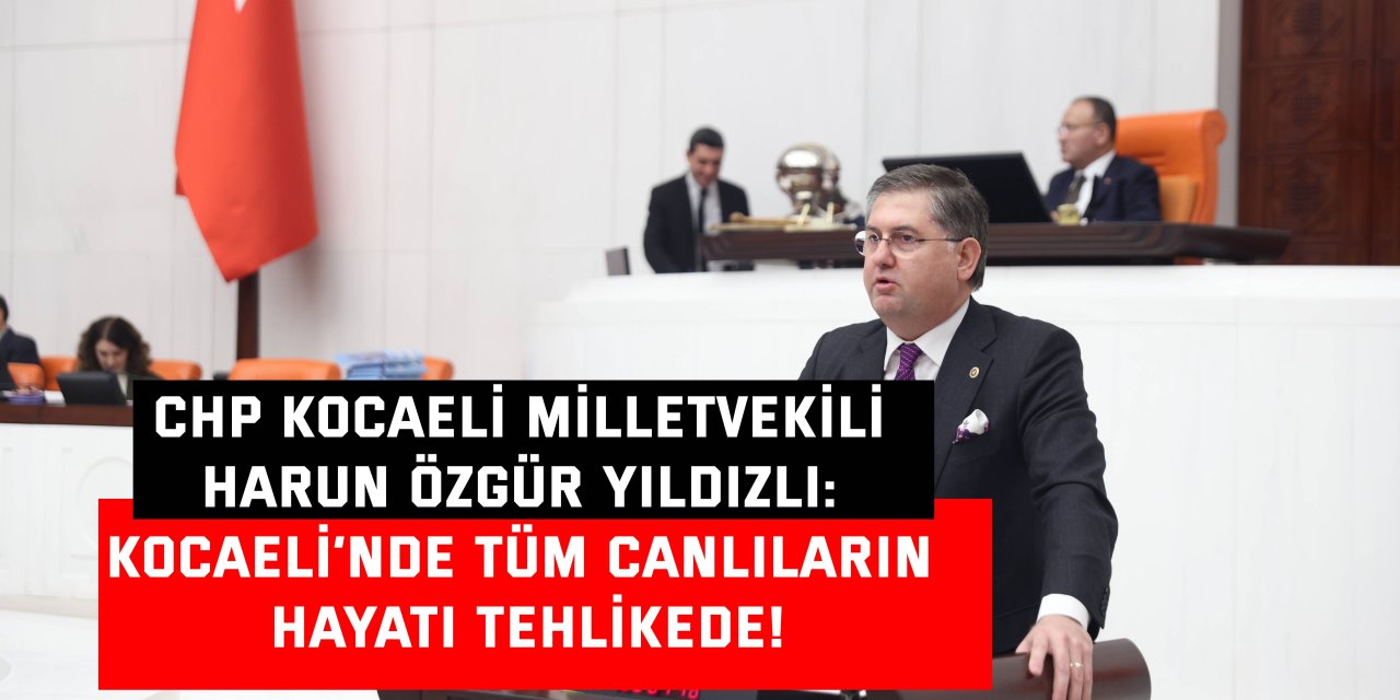 CHP KOCAELİ MİLLETVEKİLİ HARUN ÖZGÜR YILDIZLI: Kocaeli’nde tüm canlıların hayatı tehlikede!