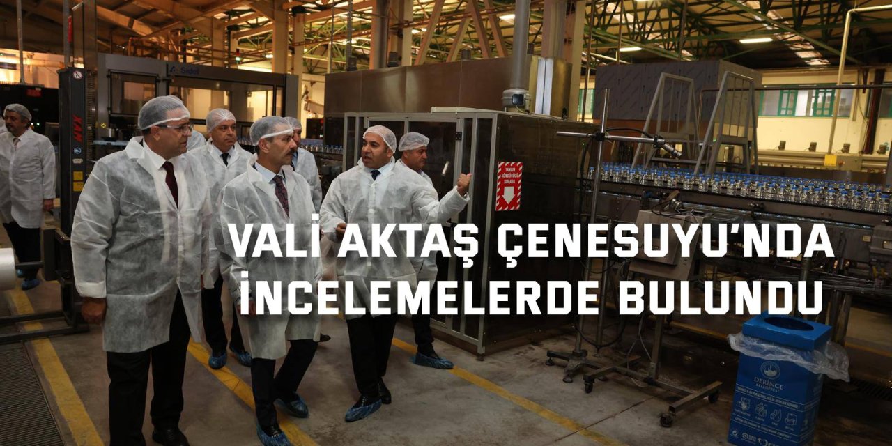 Vali Aktaş Çenesuyu’nda  incelemelerde bulundu