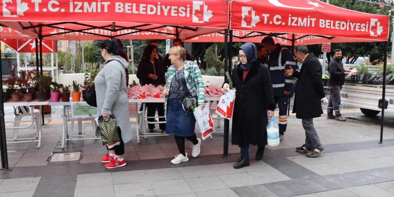 Vatandaşlara istiridye mantarı ve fıstık çamı dağıtıldı