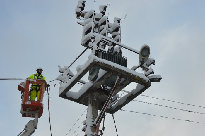 Sokak hayvanları unutulmadı