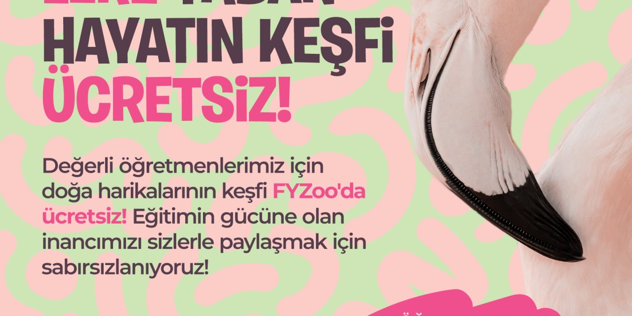 FYZoo’dan Öğretmenlere Özel 24 Kasım Sürprizi!