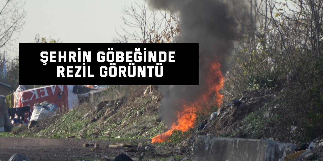 Şehrin göbeğinde rezil görüntü