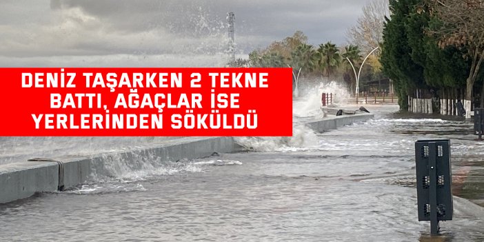 Deniz taşarken 2 tekne battı, ağaçlar ise yerlerinden söküldü