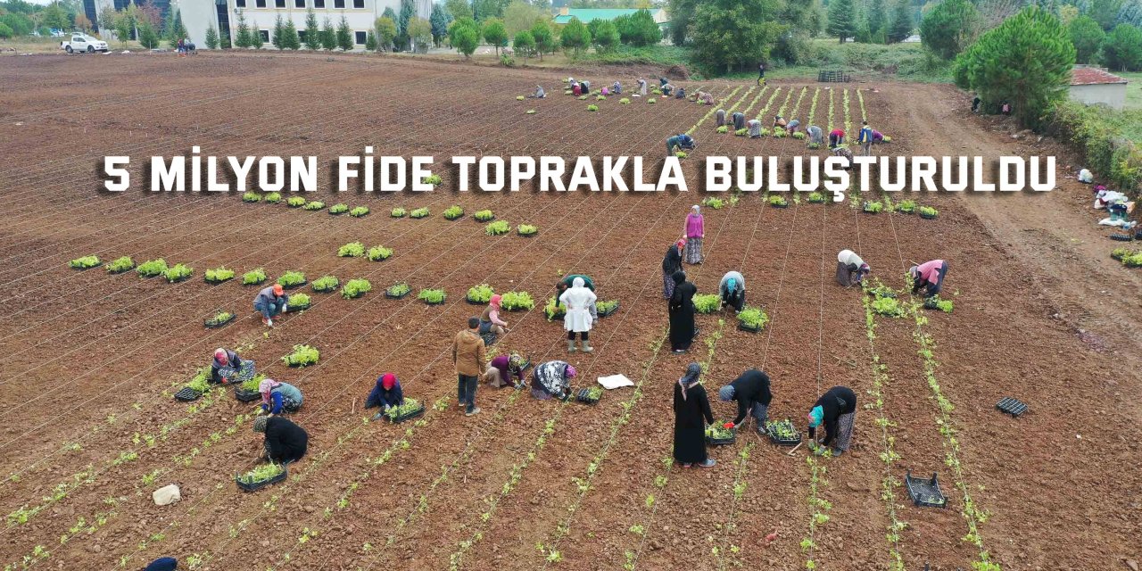 5 milyon fide toprakla buluşturuldu