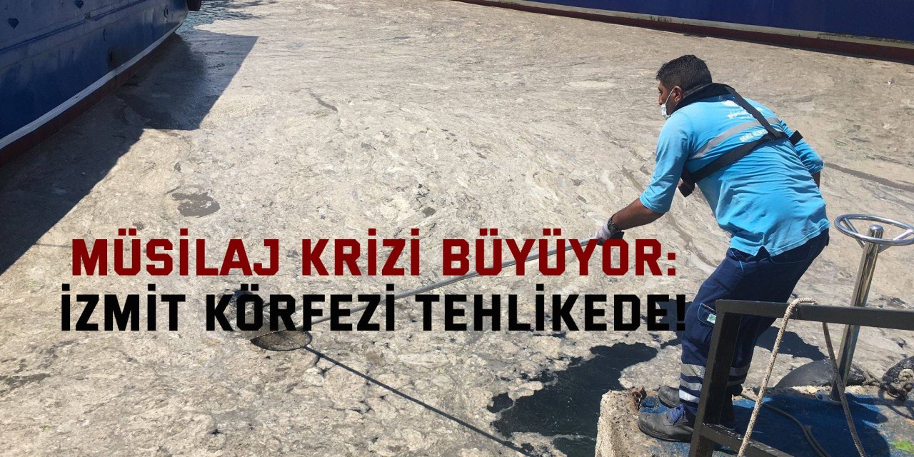 MÜSİLAJ KRİZİ BÜYÜYOR:  İzmit Körfezi tehlikede!