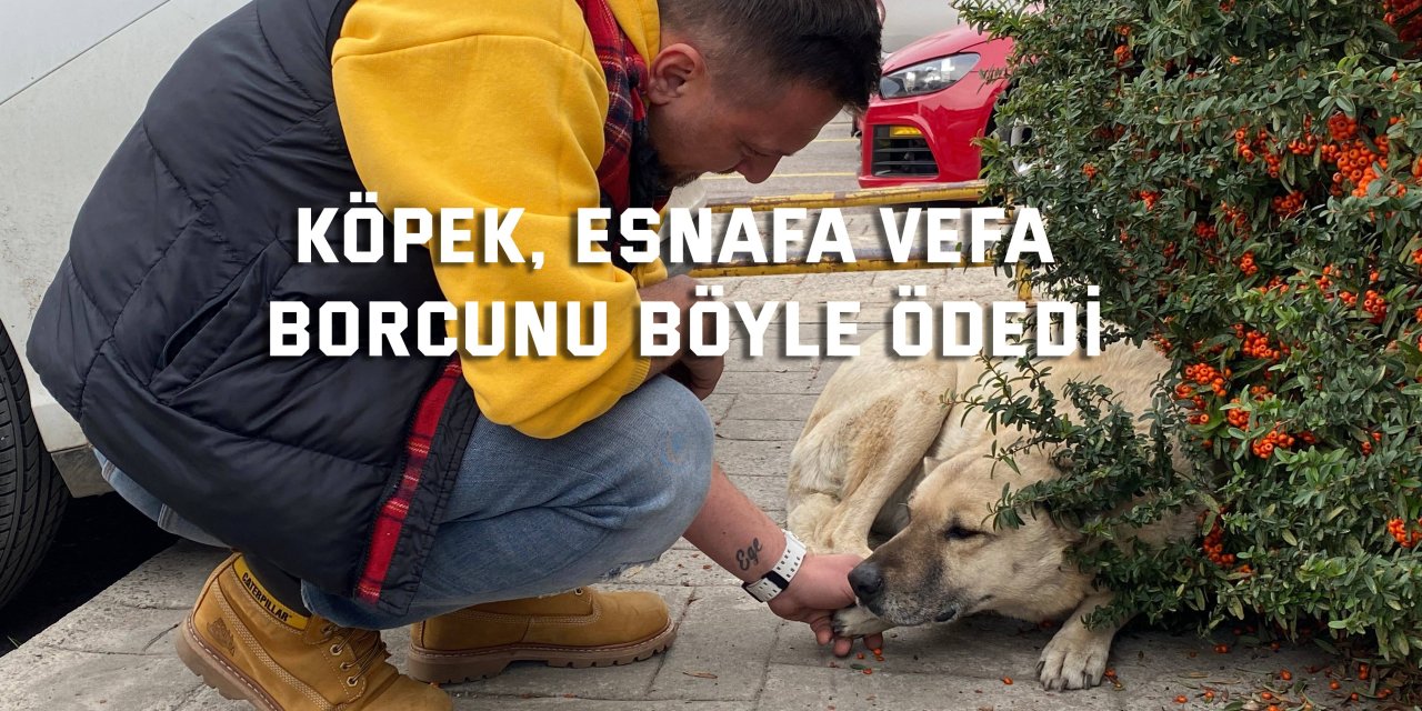 Köpek, esnafa vefa borcunu böyle ödedi