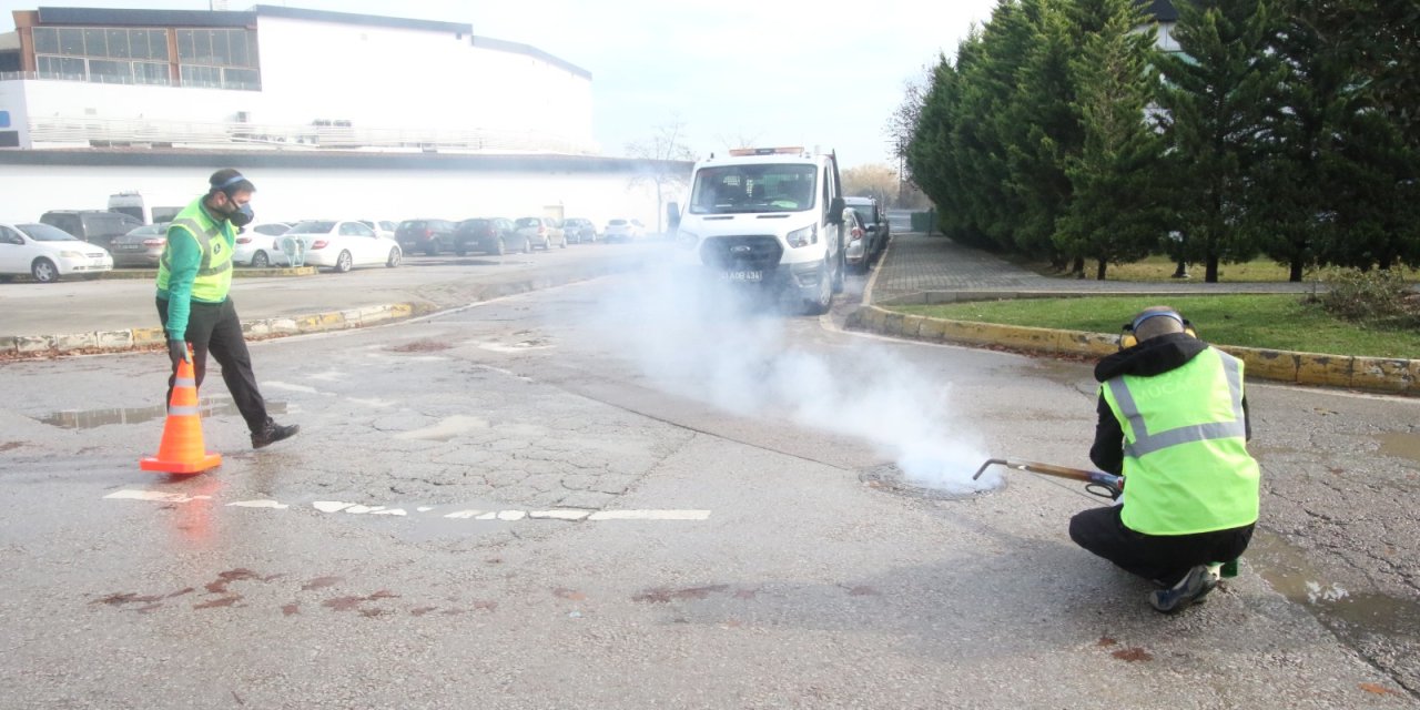 Haşereyle mücadeleye kışın da devam