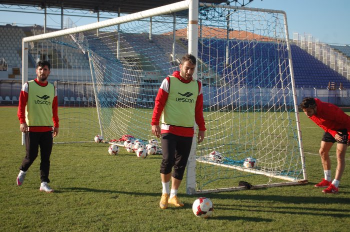 Menekşe hız kesmiyor