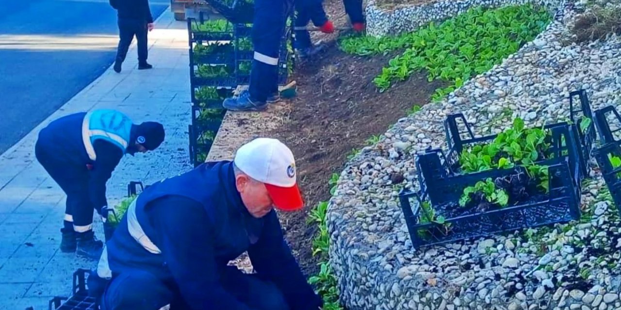 Gebze çiçeklerle donatılıyor