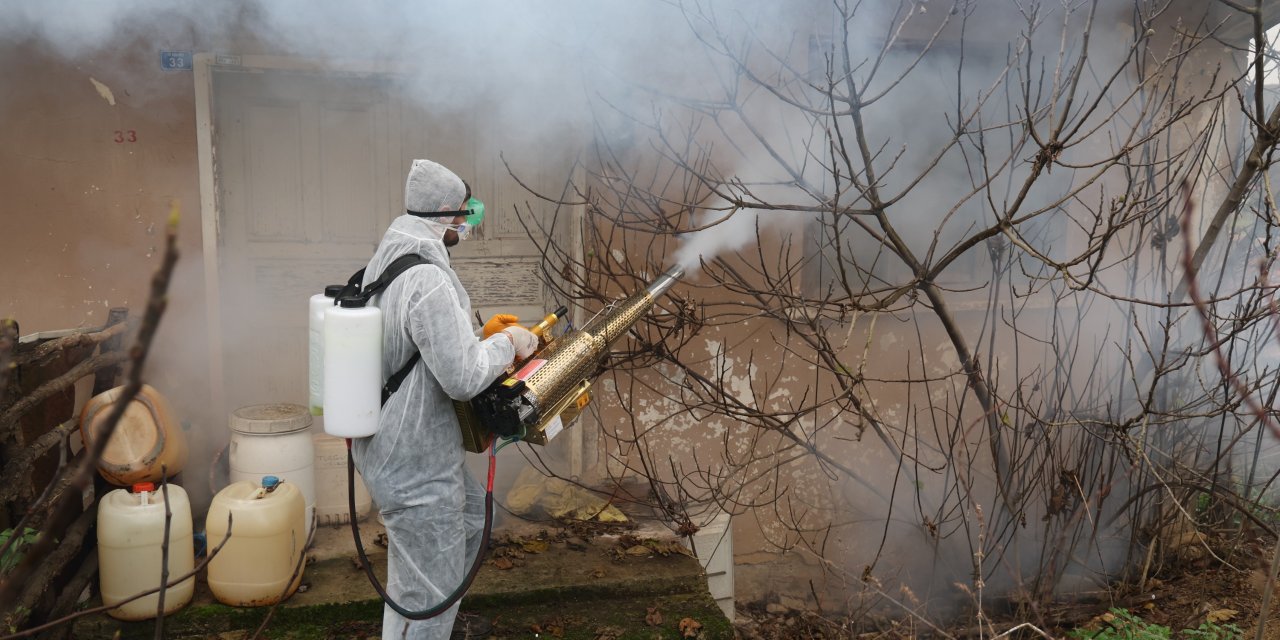 Kandıra’da kokarca ile mücadele