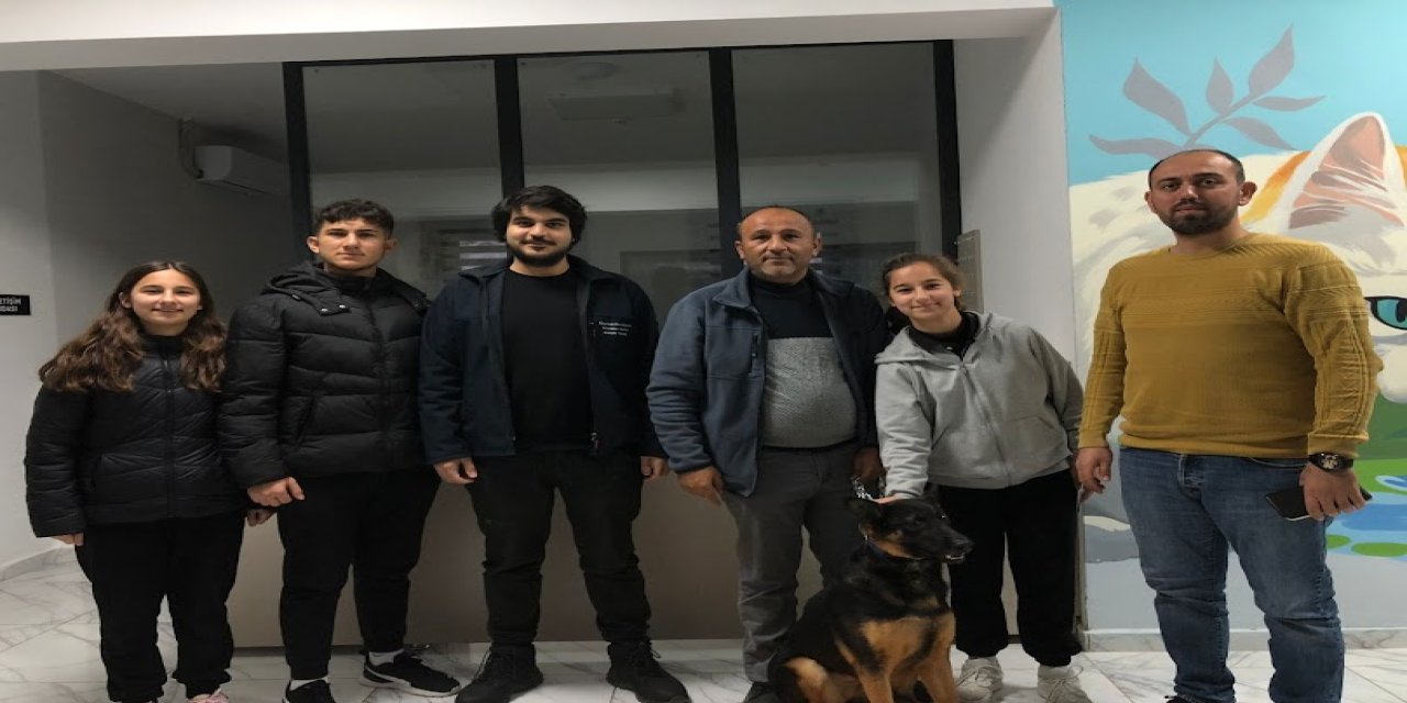 275 sokak hayvanı sahiplendirildi