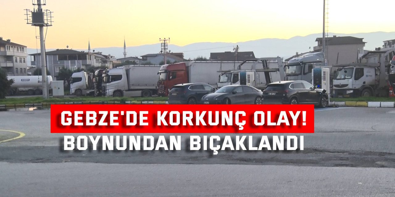 Tır şoförü boynundan bıçaklandı