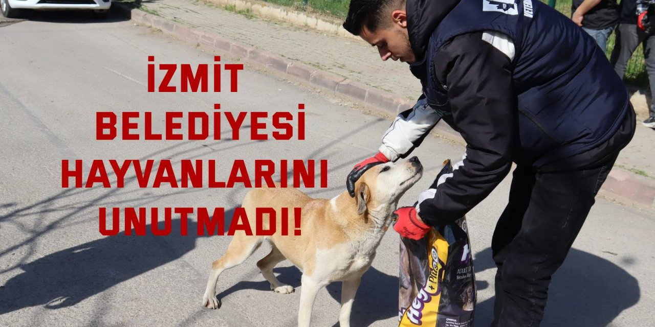 İzmit Belediyesi, hayvanlarını unutmadı!