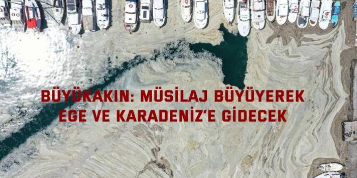 Büyükakın: Müsilaj büyüyerek Ege ve Karadeniz’e gidecek