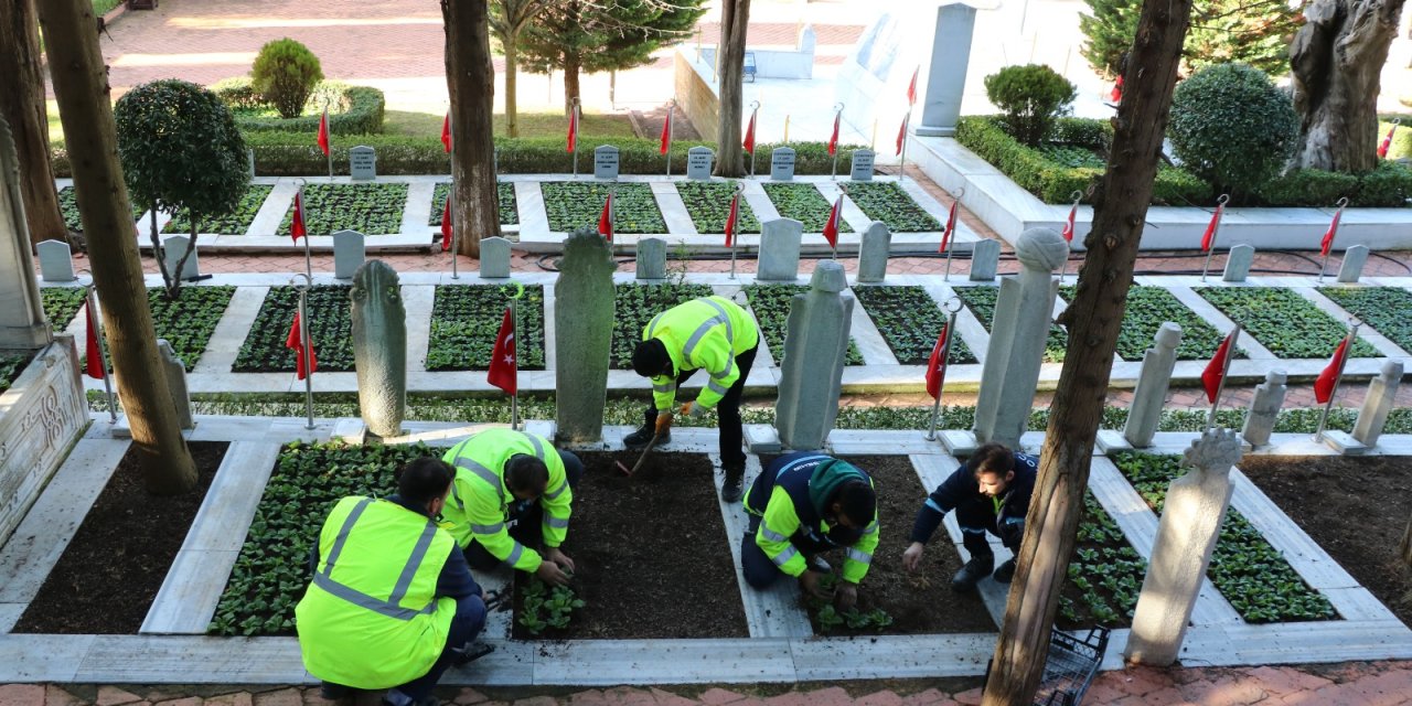 Şehit mezarları çiçeklerle donatıldı