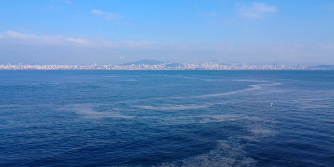 Müsilaj tehdidi havadan görüntülendi