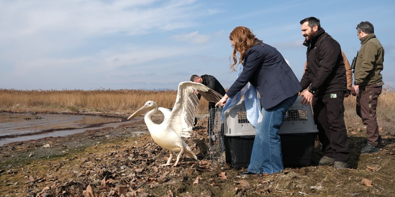 Dünya Sulak Alanlar Günü, ‘Flamingo Şenliği’ ile kutlandı