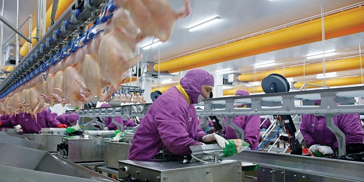 Türkiye AB'ye işlenmiş tavuk eti ihracatına hazırlanıyor