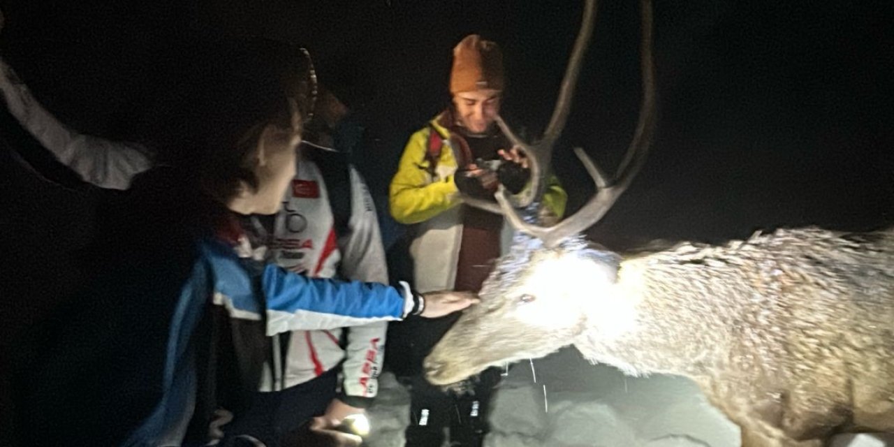 Kızılgeyiği bisküvi ile besleyip poz verdiler