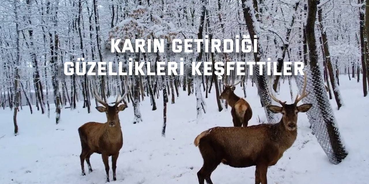 Karın getirdiği güzellikleri keşfettiler