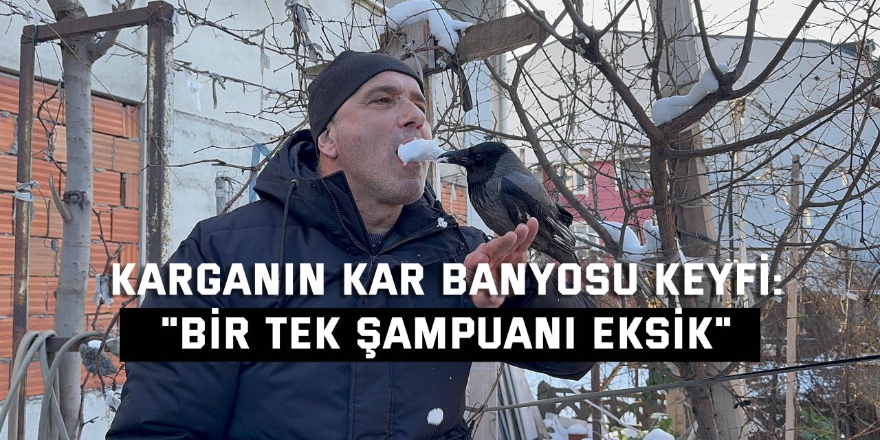 Karganın kar banyosu keyfi: "Bir tek şampuanı eksik"