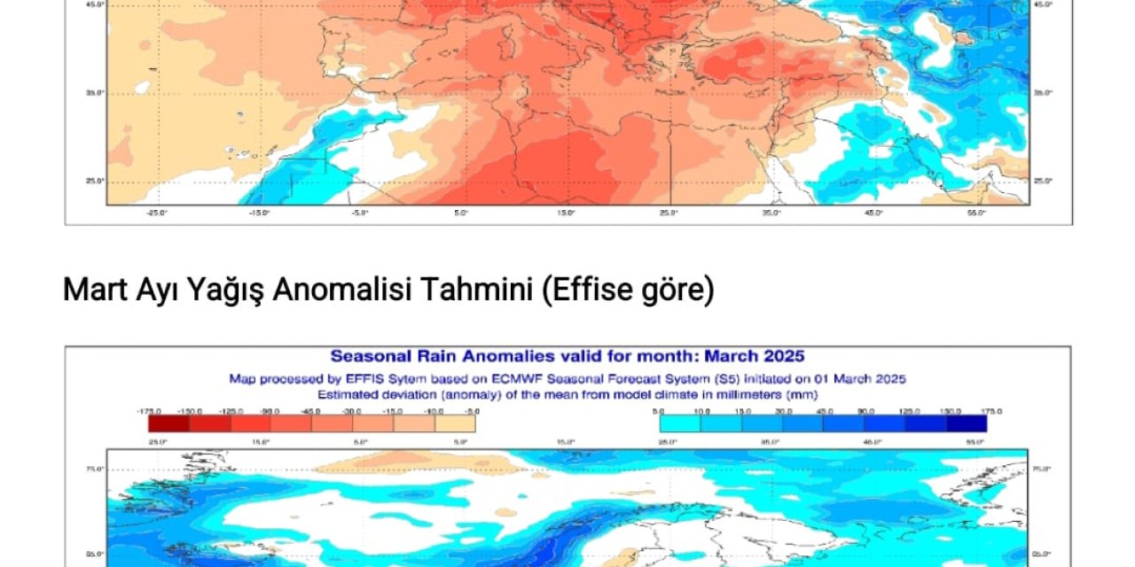 OGM: Orman Yangını Riski Kapıda!