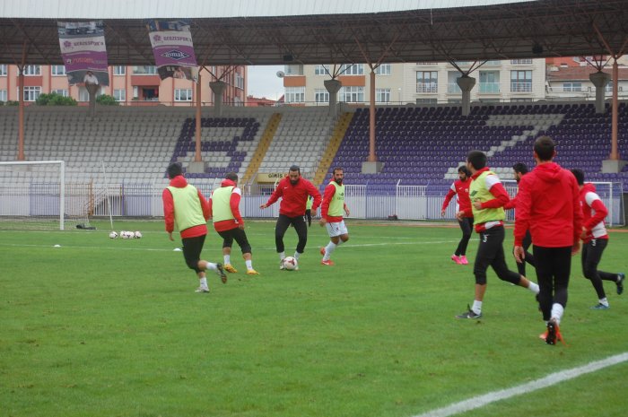 Menekşe temizliği başlıyor