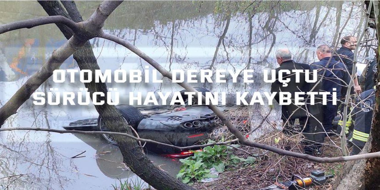 Otomobil dereye uçtu, sürücü hayatını kaybetti