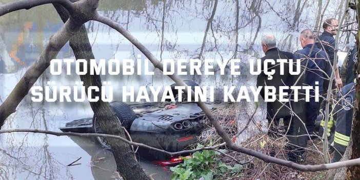 Otomobil dereye uçtu, sürücü hayatını kaybetti
