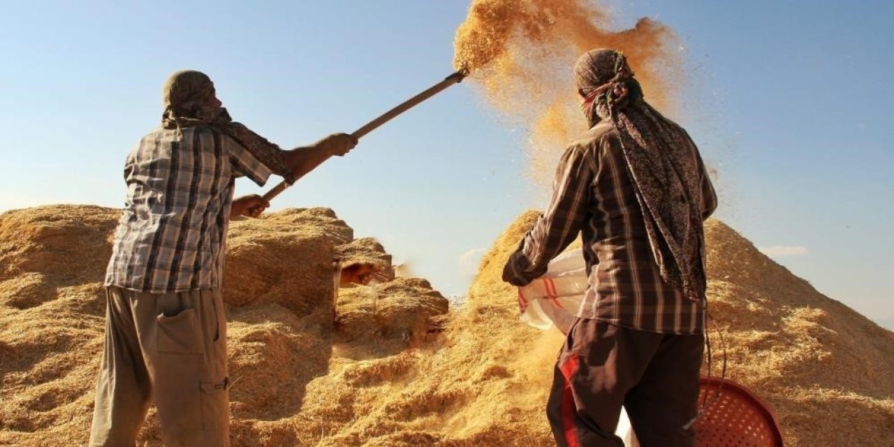 Tarımsal girdi fiyat endeksi yıllık yüzde 30,49 arttı